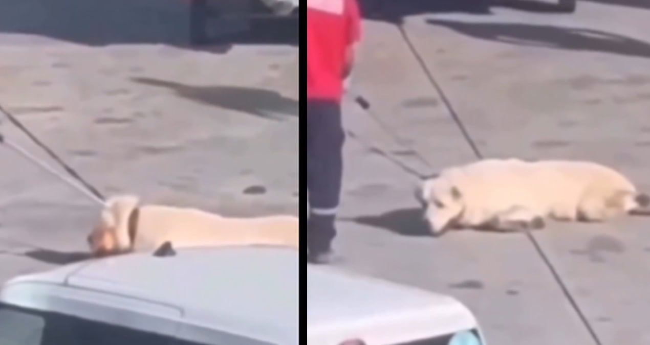 havalimanindaki skandal goruntu sonrasi igadanaciklama pkRQnXQf