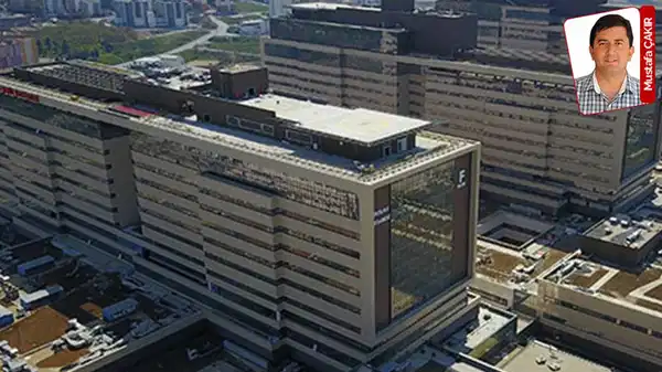 koi projeleri elestirilere ragmen hiz kesmeden devam ediyor garantiye devam PfSHMHVQ