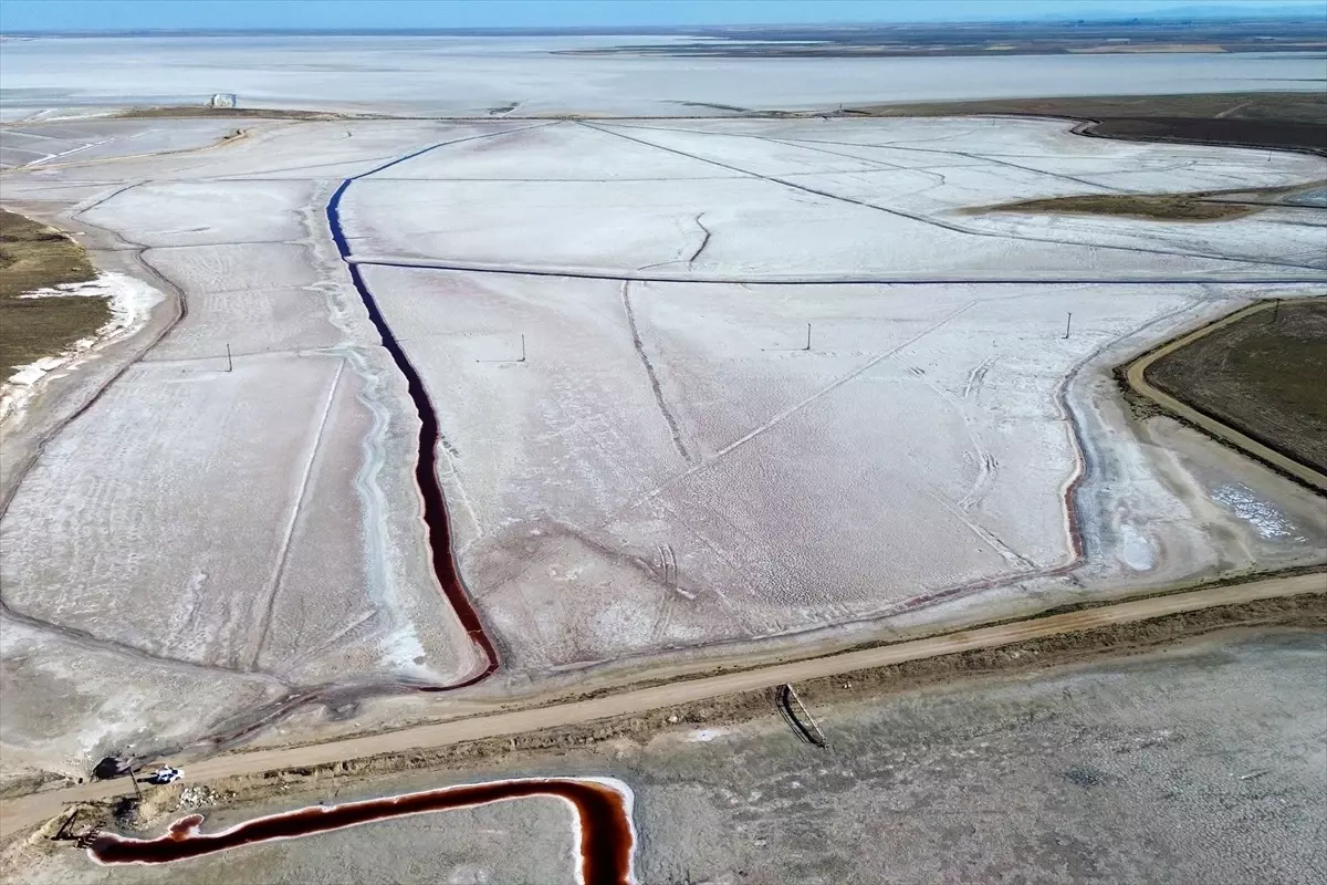 kuruyan goller yaban hayatini tehdit ediyor TZjxm2Xl