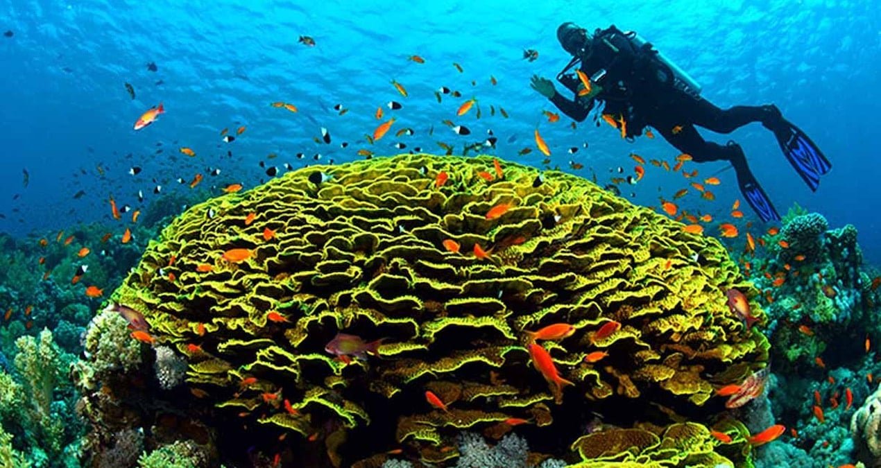 Denizdi, tuz çölüne döndü, sel baskınıyla yeniden deniz oldu!
