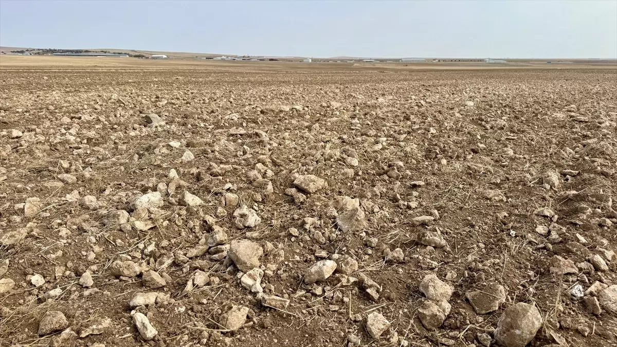 Kırşehir’de 4 Bin Dönüm Tarla Taşları Temizlendi