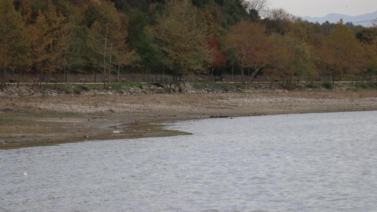Sapanca Gölü’nde esrarengiz görüntü