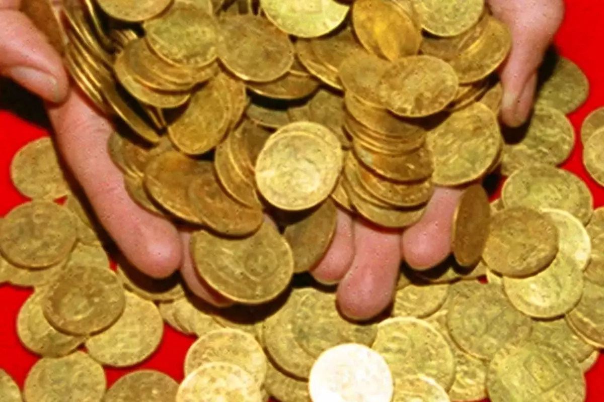 yuzme havuzu kazarken hayati degisti bir kurek darbesiyle servet buldu FwghfaRR.jpg