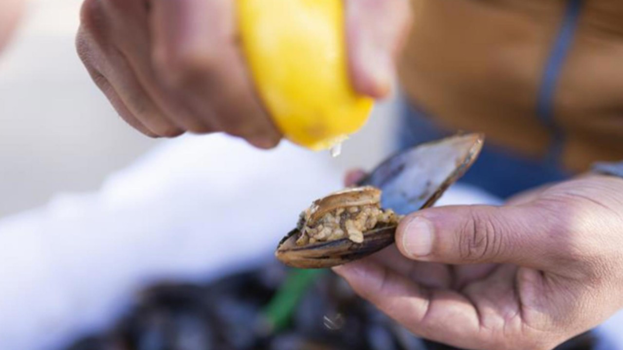Zehirlenen iki çocuktan sonra anne de hayatını kaybetti